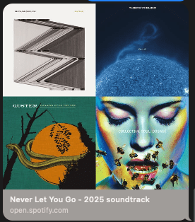 SPOTIFY PLAYLIST: Never Let You Go Soundtrack 2025